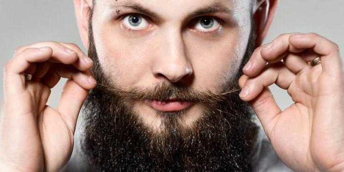 Мужская борода стильная: типы, особенности ухода